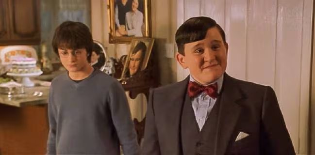 La relación entre Dudley Dursley y Harry Potter es influida por los padres de Dudley y no por un conflicto genuino entre los primos (Captura de video)