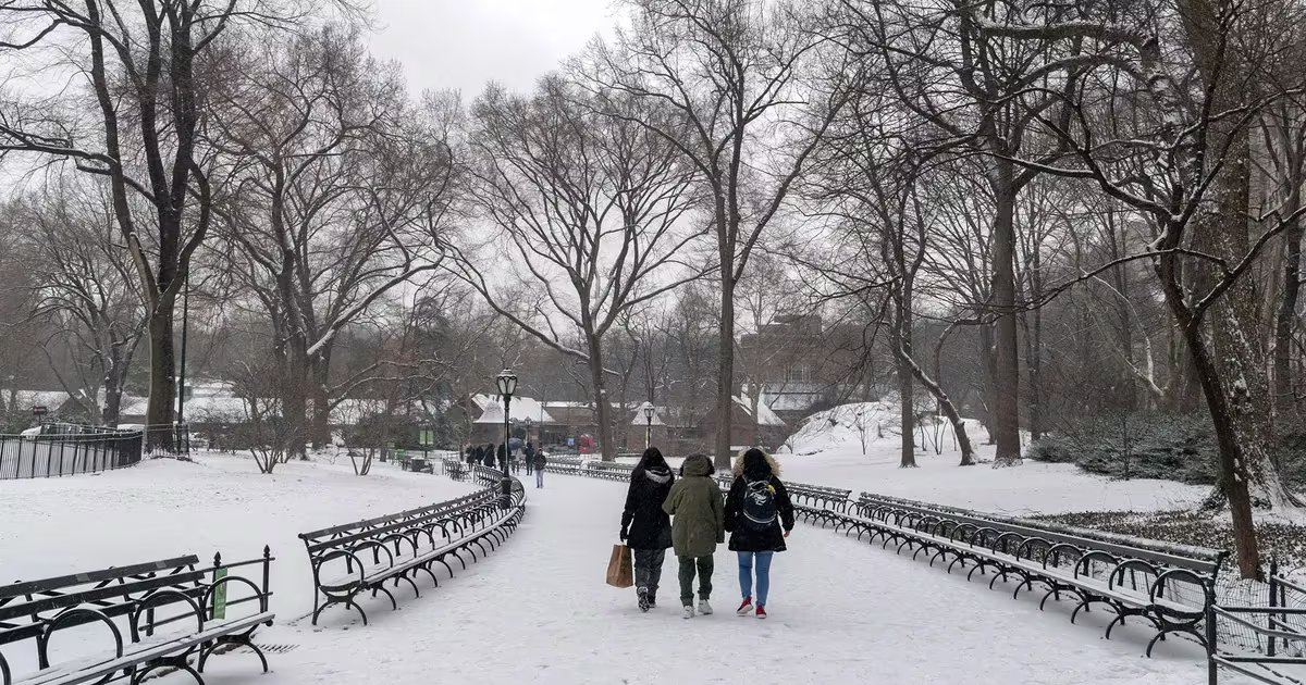 A pesar de las bajas temperaturas, Central Park continúa siendo uno de los espacios más visitados de Nueva York durante el invierno, con senderos habilitados para caminatas y actividades recreativas al aire libre.