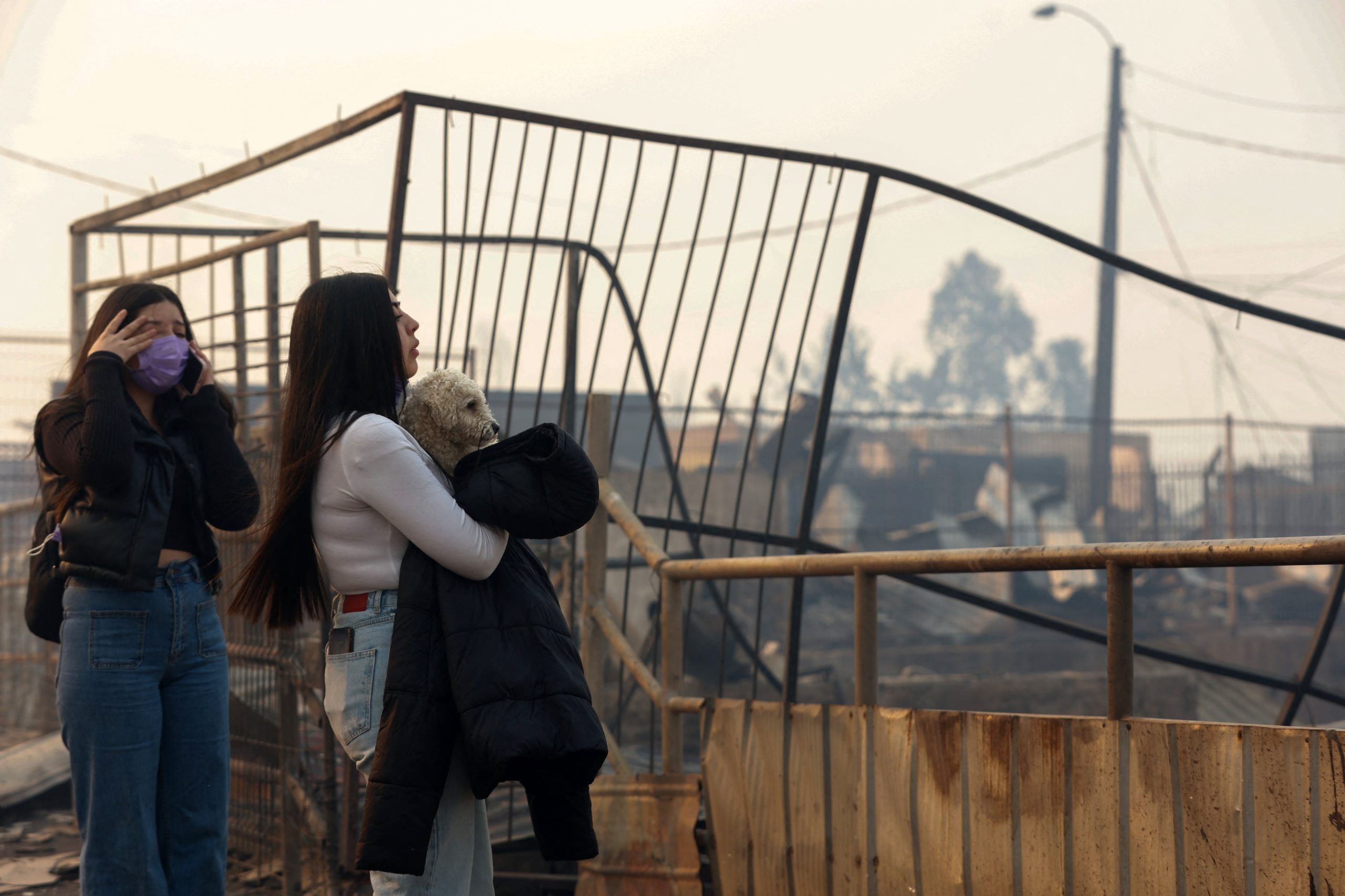 Voluntarios ayudan a rescatar animales afectados por el avance del fuego en el sur chileno (RAUL BRAVO / AFP)