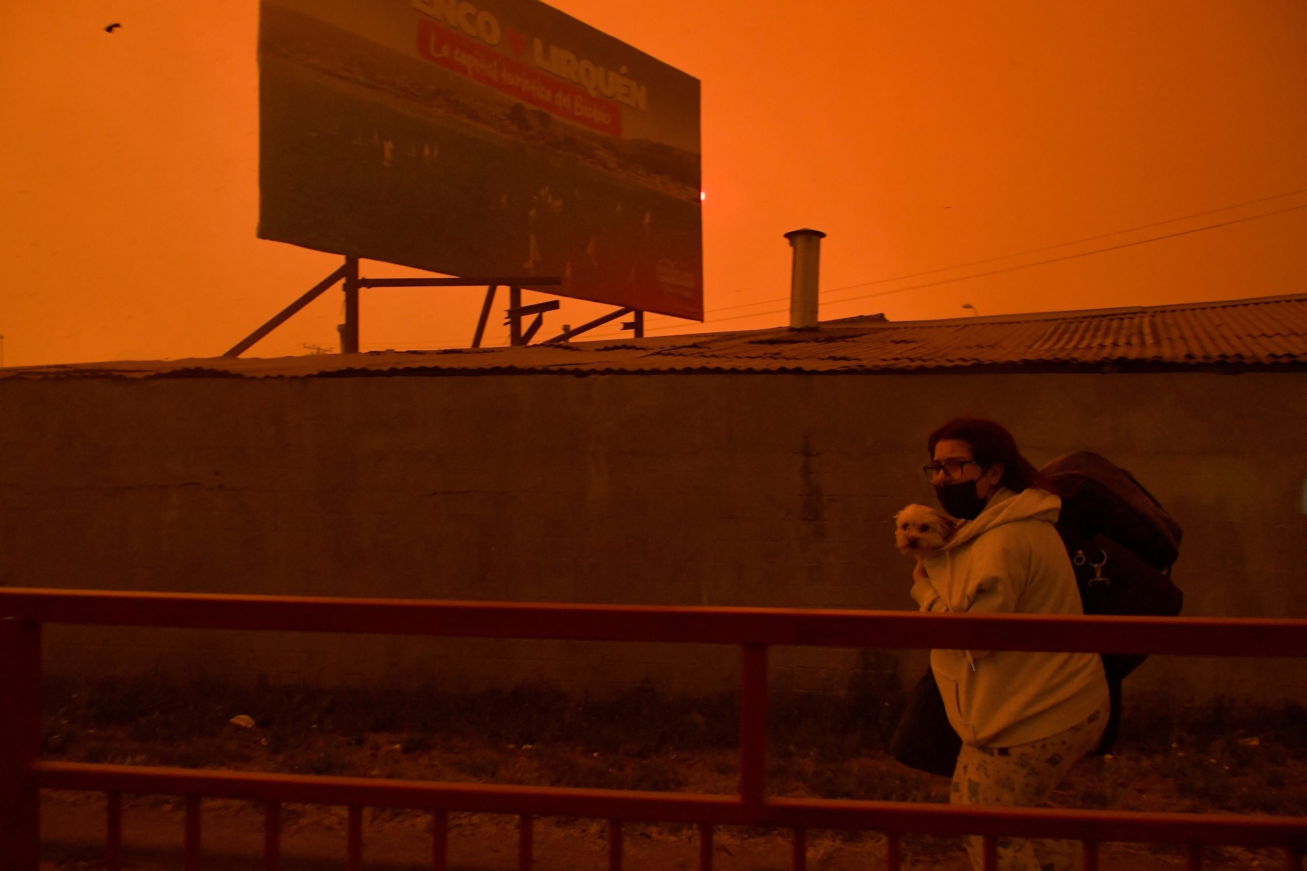 Una residente evacúa su vivienda junto a su perro ante el avance de un incendio forestal en el sur de Chile (GUILLERMO SALGADO / AFP)