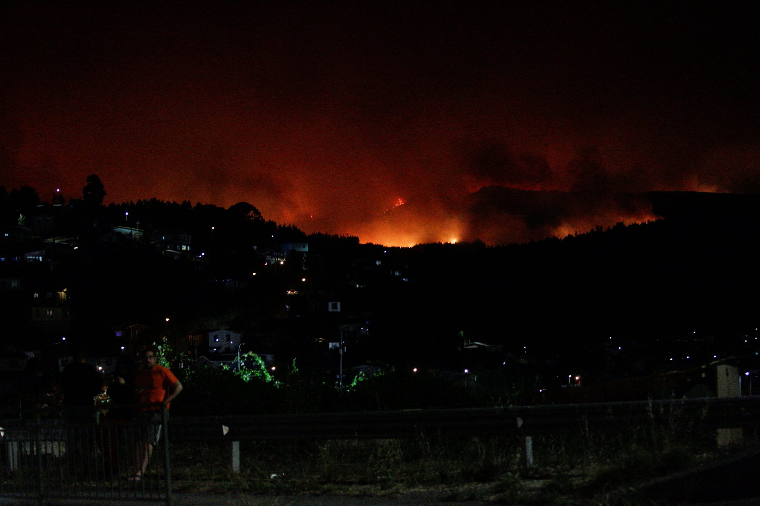 Emergencia por incendios forestales: el fuego y el humo se extienden en la región del Biobío, según medios locales (REUTERS/Pablo Hidalgo)