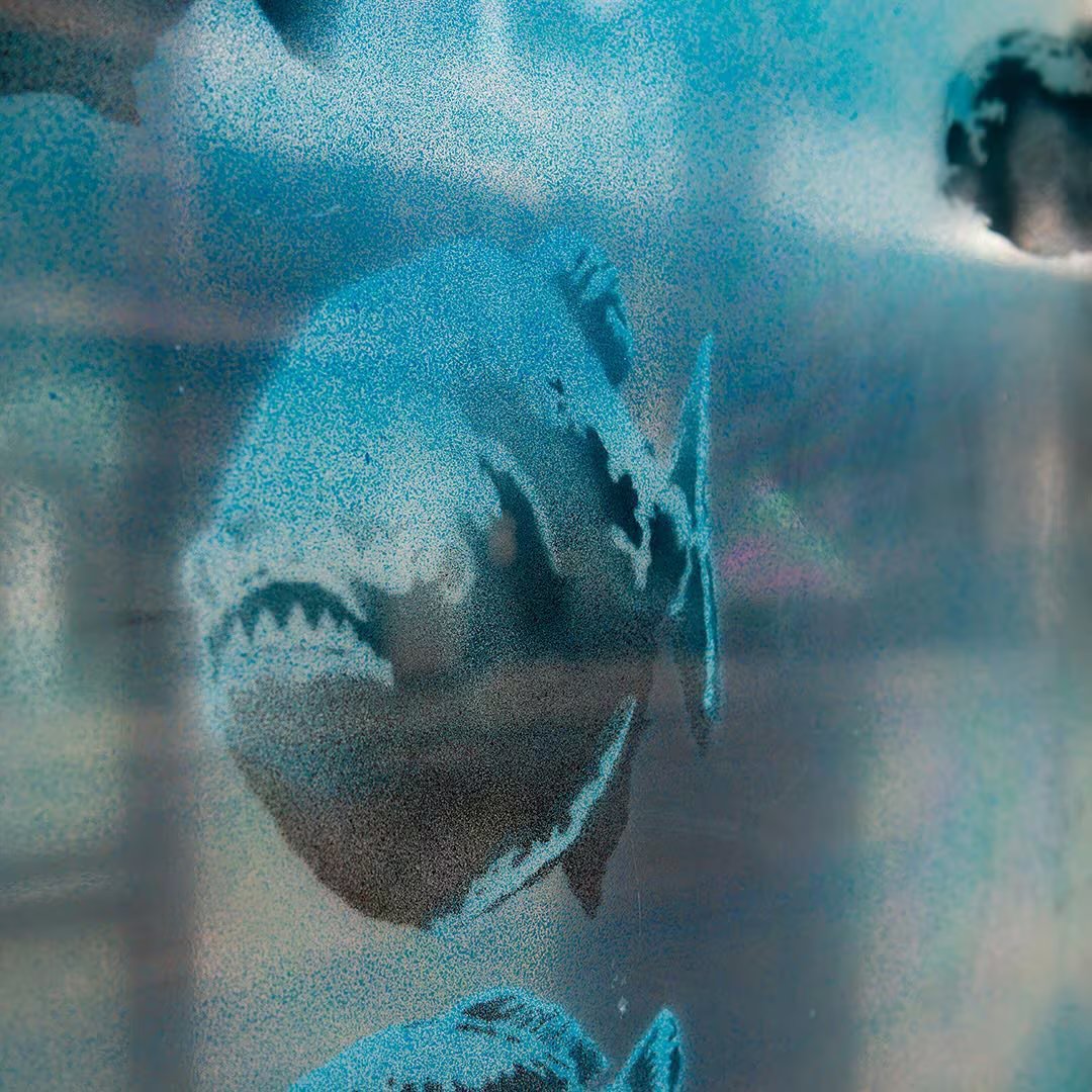 La piraña de vientre rojo, con sus potentes mandíbulas y dientes afilados, representa un riesgo mayor durante la escasez alimentaria en ríos sudamericanos - Instagram Banksy