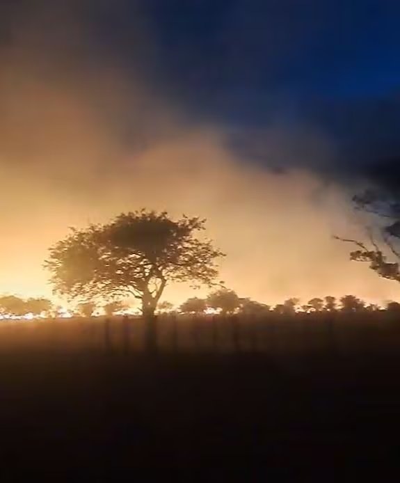 Tres de los focos se concentraron en campos del paraje La Pastoril