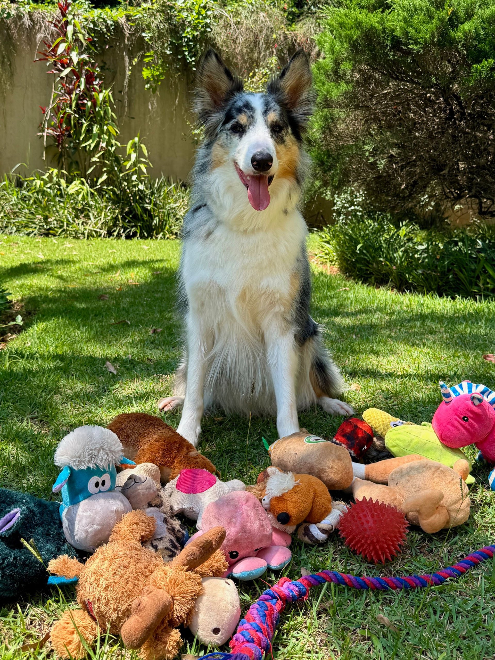 Oscar, de 4 años, vive en Brasil. Participó en el estudio y demostró que conoce los nombres de muchos juguetes (Thais Miranda y João Miranda)