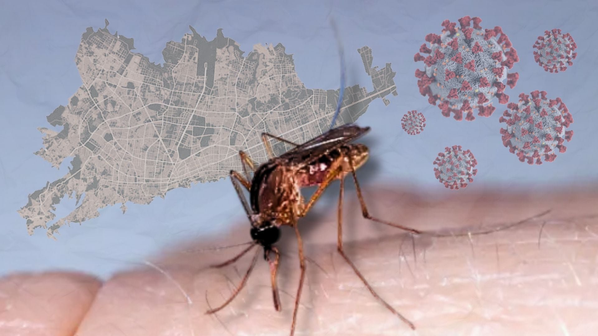 El virus Oropouche dejó de estar restringido al Amazonas y representa un nuevo riesgo sanitario para gran parte del continente americano (Johan Largo/Infobae)