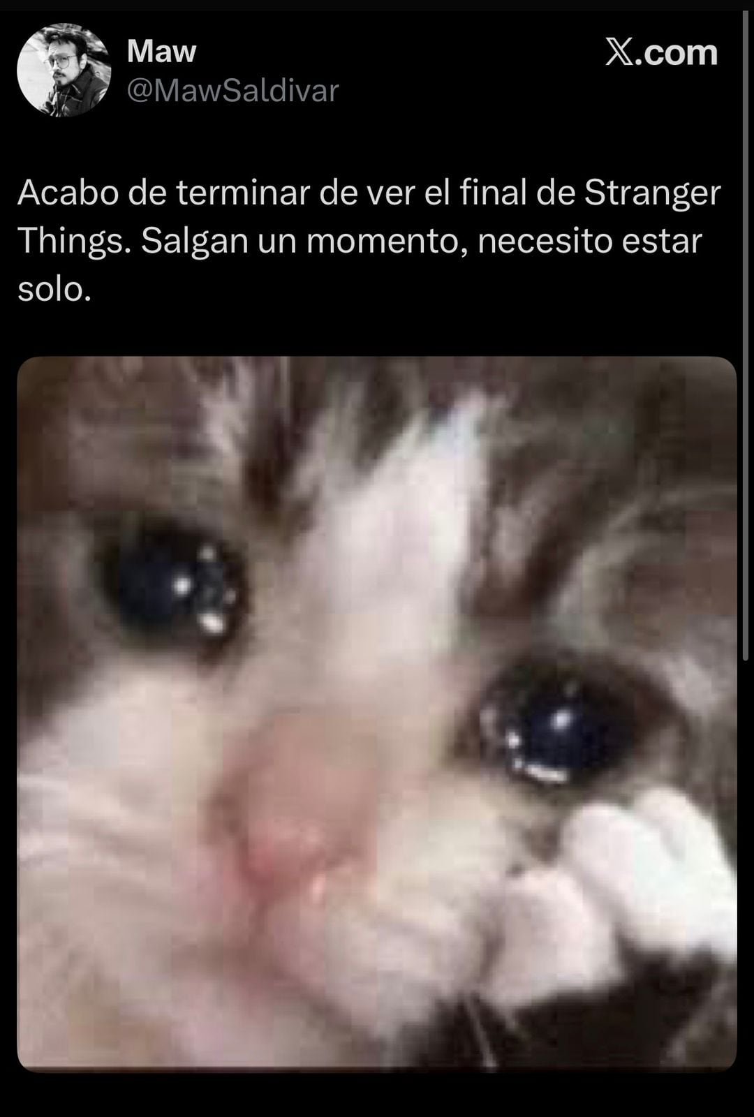 (captura de pantalla)