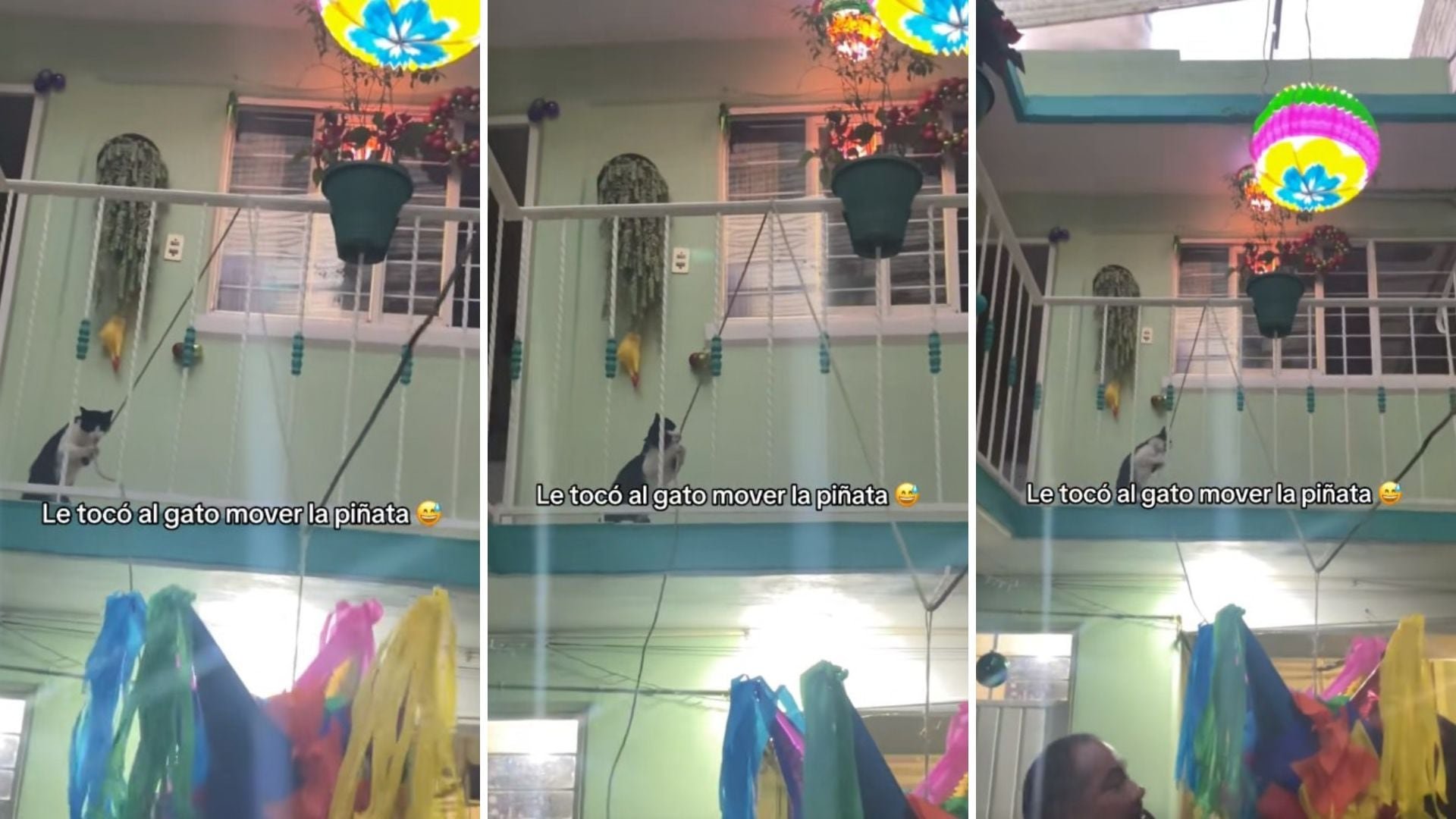 La escena fue tan surrealista que muchos dudaron de su autenticidad.