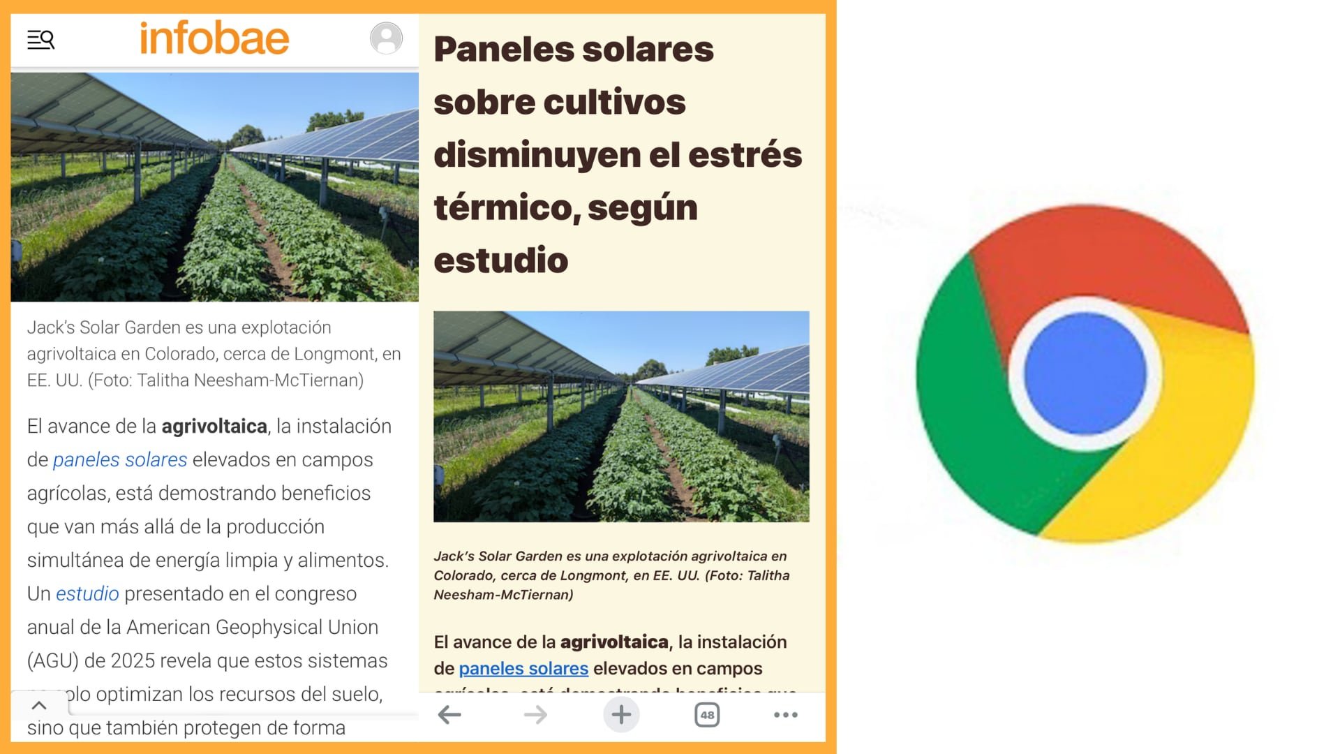 (Composición Infobae)