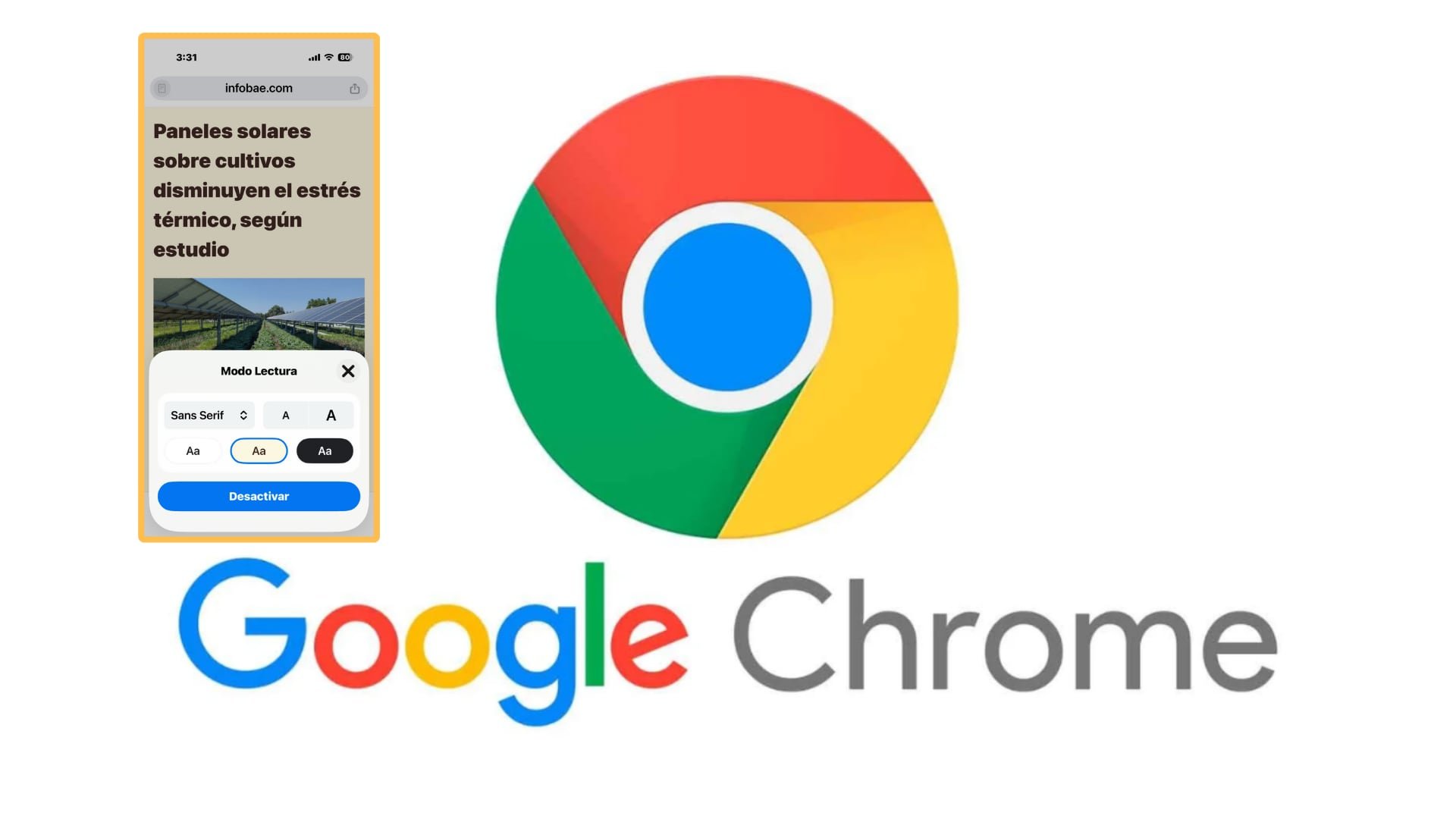 (Composición Infobae: Google / Infobae)