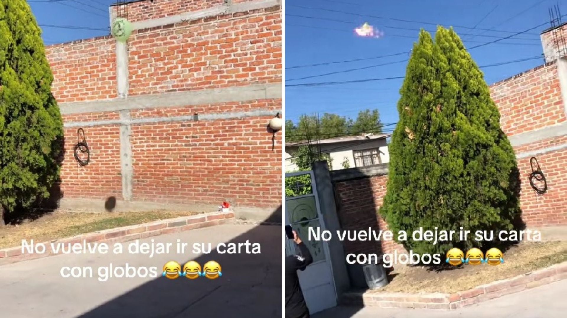 Comentarios de burla y críticas marcaron la conversación digital.