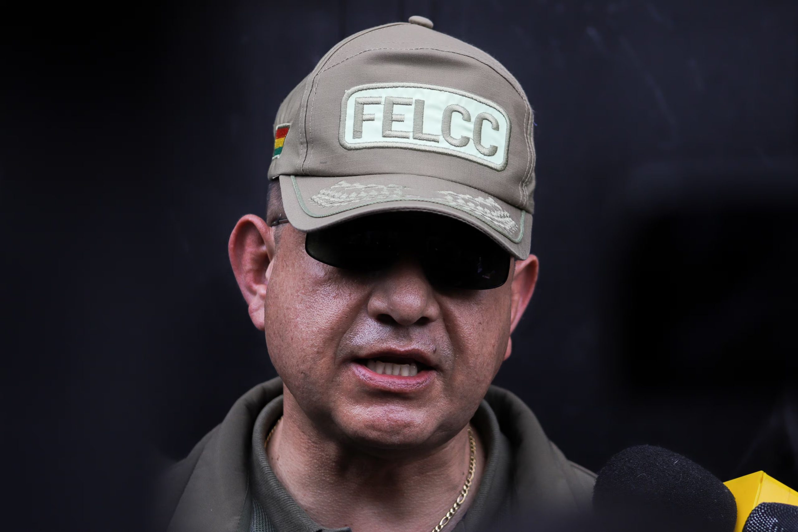 El comandante departamental de la Fuerza Especial de Lucha Contra el Crimen de La Paz, Gabriel Neme, aseguró que Luis Arce está
