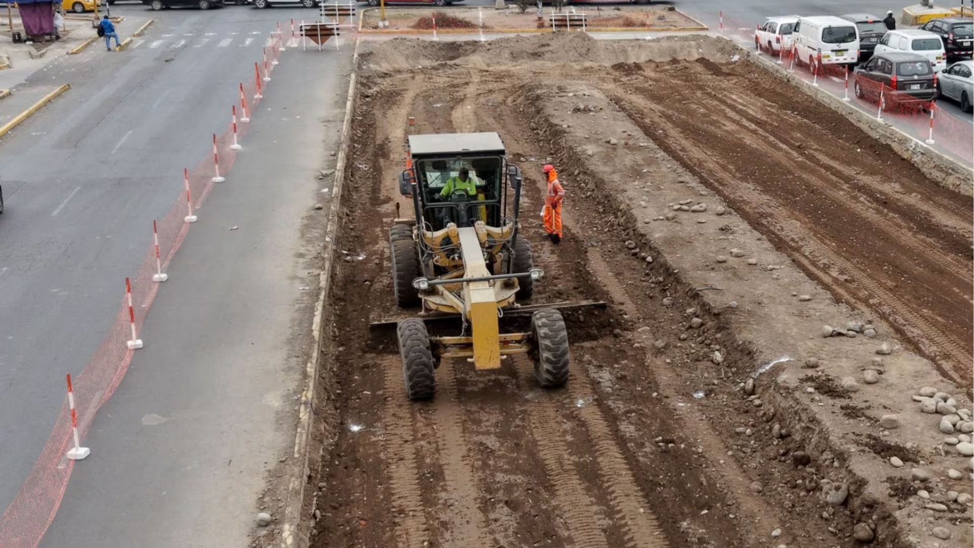 Traslado de más de 2 000 árboles de la avenida Universitaria registra 70% de avance en primera etapa. (Foto: Agencia Andina)