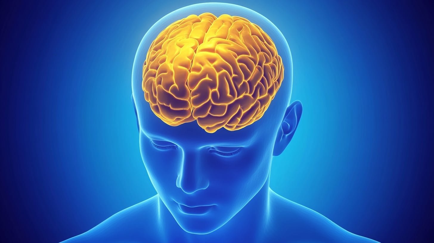 Diseñar espacios de aprendizaje estructurados podría aumentar la retención de información compleja y favorecer el aprendizaje, destacan los científicos (Imagen Ilustrativa Infobae)