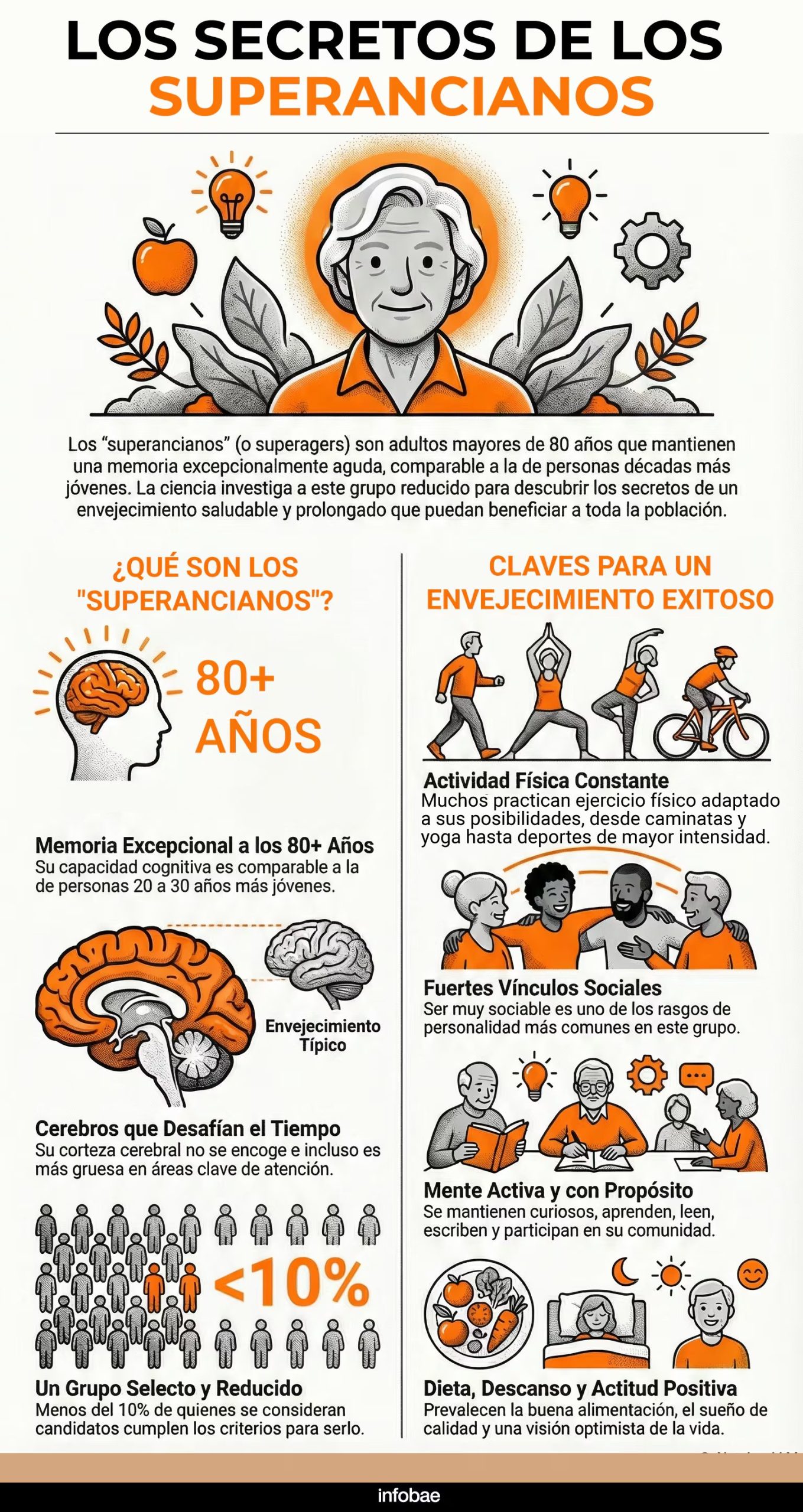 Estudios con imágenes cerebrales muestran que los superancianos mantienen regiones clave del cerebro en mejor estado que personas mucho más jóvenes (InfografíaIA).