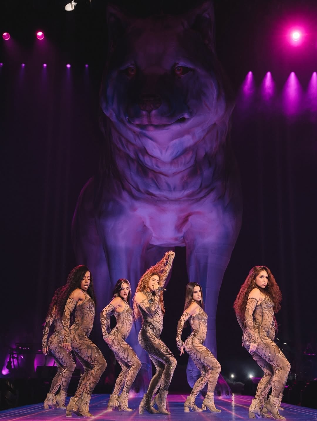 Las interacciones de Shakira con sus seguidores durante los conciertos provocaron opiniones divididas en plataformas digitales y redes sociales - crédito @shakira/Instagram