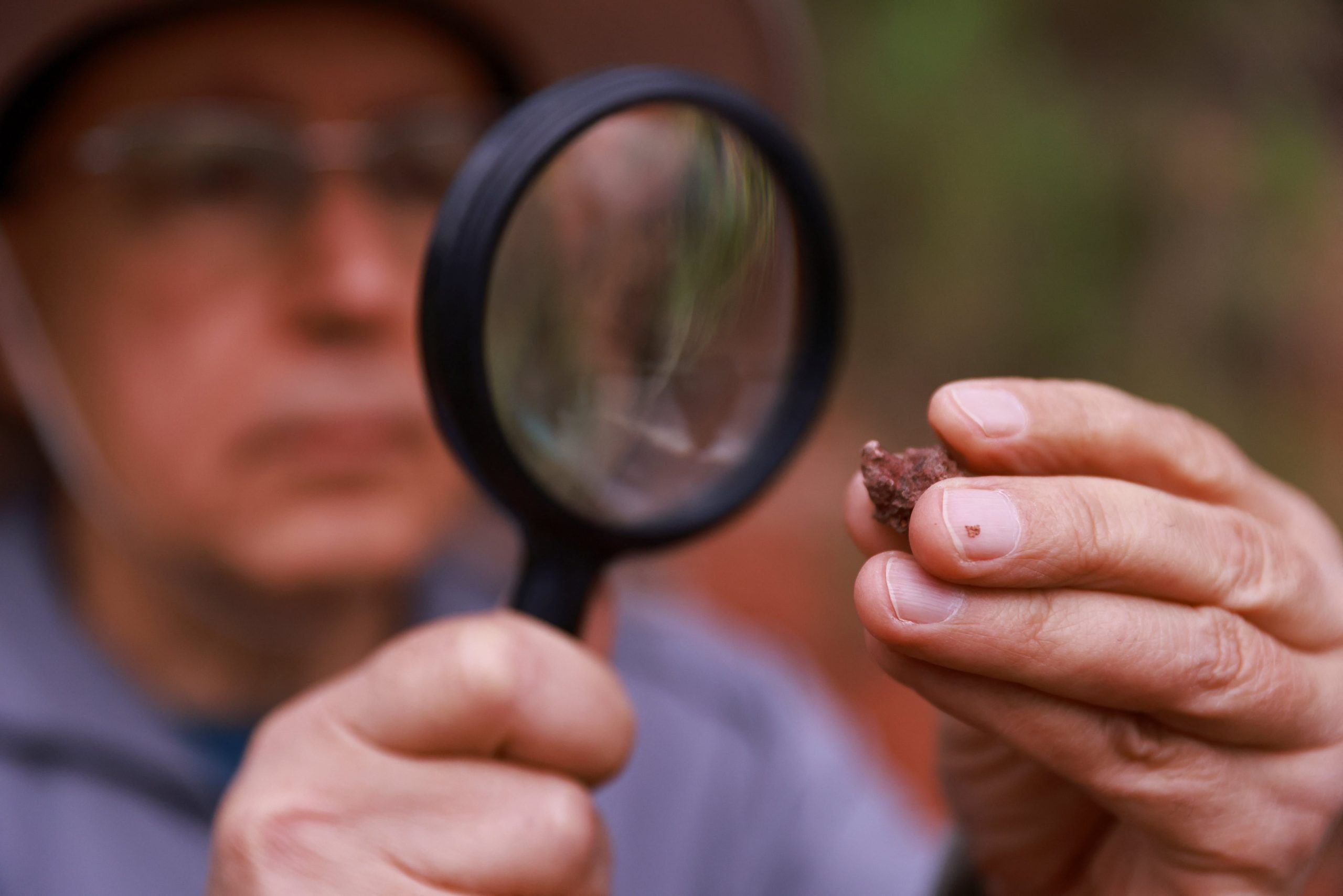 El modelo de Budd y Mann sincroniza datos genéticos y evidencias geológicas, eliminando la necesidad de suponer especies invisibles en la paleontología (REUTERS/Diego Vara)