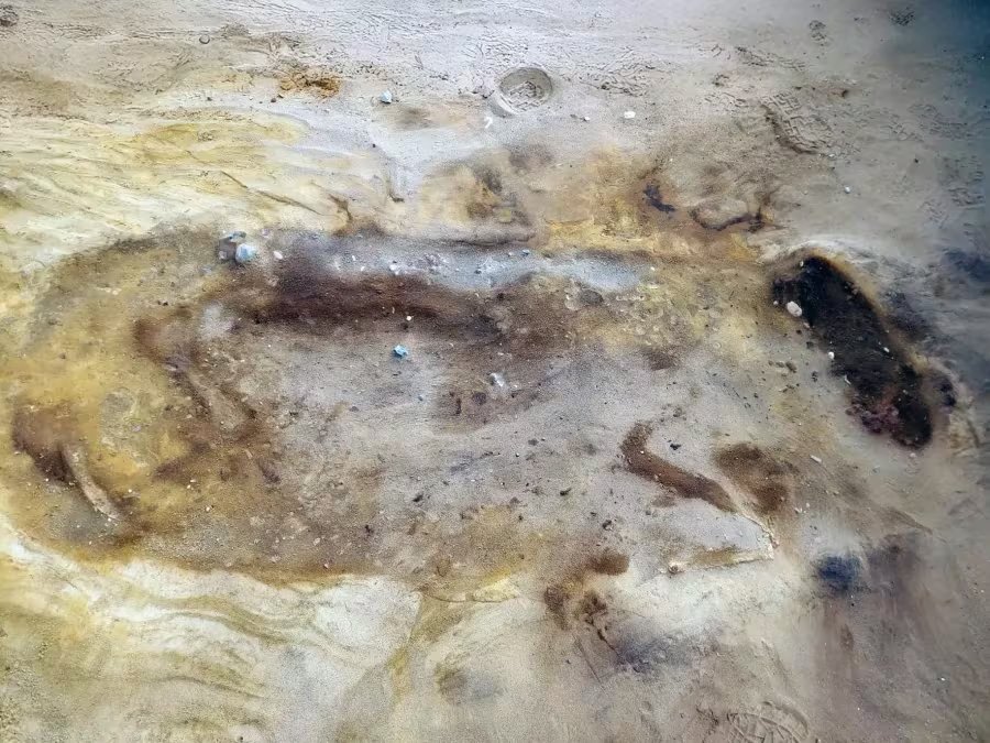 El entierro junto a un caballo enjaezado muestra conexiones con otros sitios emblemáticos como Sutton Hoo y refuerza la hipótesis de una red de élites anglosajonas - (Oxford Cotswold Archaeology )