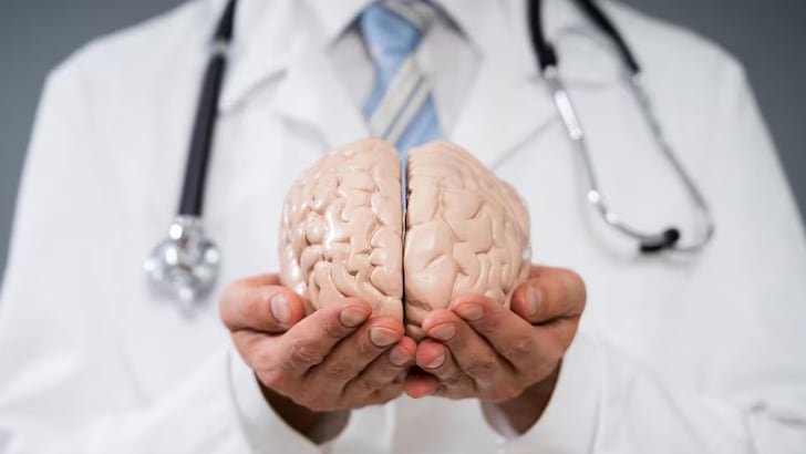 Redes neuronales complejas transmiten señales eléctricas que, al ser analizadas, permiten identificar cambios tempranos asociados a la enfermedad (Freepik)