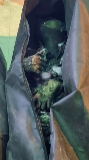 La dificultad para verificar la magnitud real de la represión radica en el apagón casi total de internet y telefonía impuesto por los ayatollahs durante cinco días consecutivos (Crédito: Vahid Online)