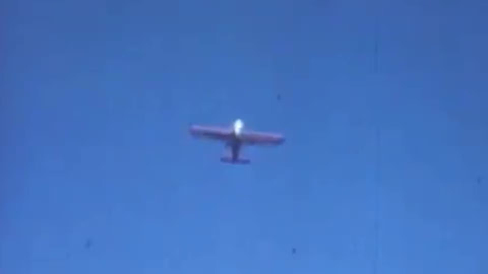 La operación de lanzar castores surgió como alternativa al retiro tradicional, que era peligroso y costoso para los animales y el personal