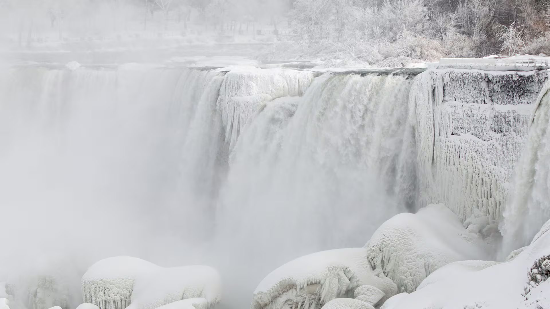 Autoridades recomendaron limitar desplazamientos, mantenerse en interiores y atender a niños, mayores y grupos vulnerables para evitar congelaciones e hipotermias EFE/ Julio Cesar Rivas

