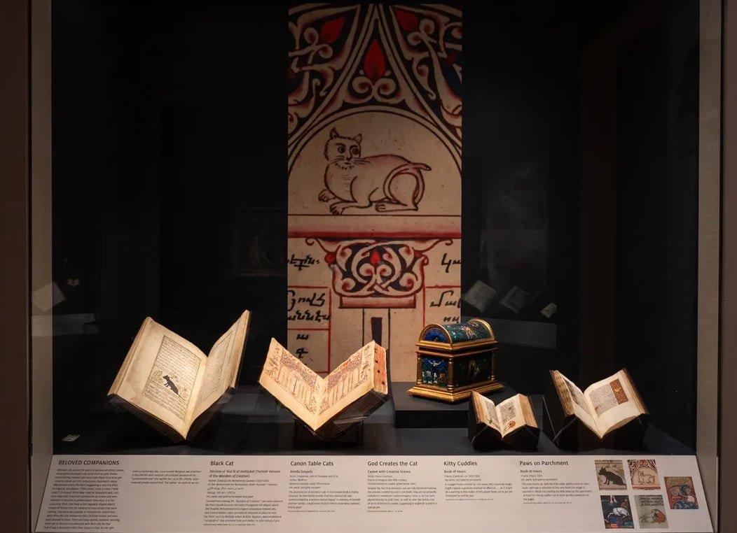 “Patas sobre pergamino” presenta documentos y obras que exploran la presencia del gato en la cultura y el arte de la Edad Media (The Walters Museum)