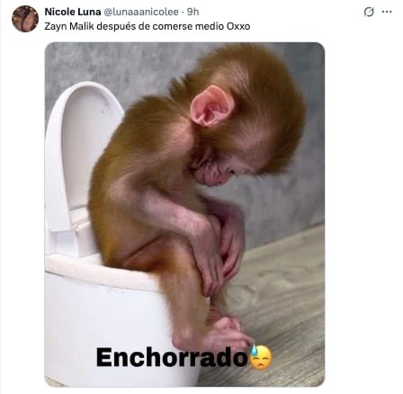 El cantante aparentemente canceló su concierto en CDMX por empacho. (Captura: X)