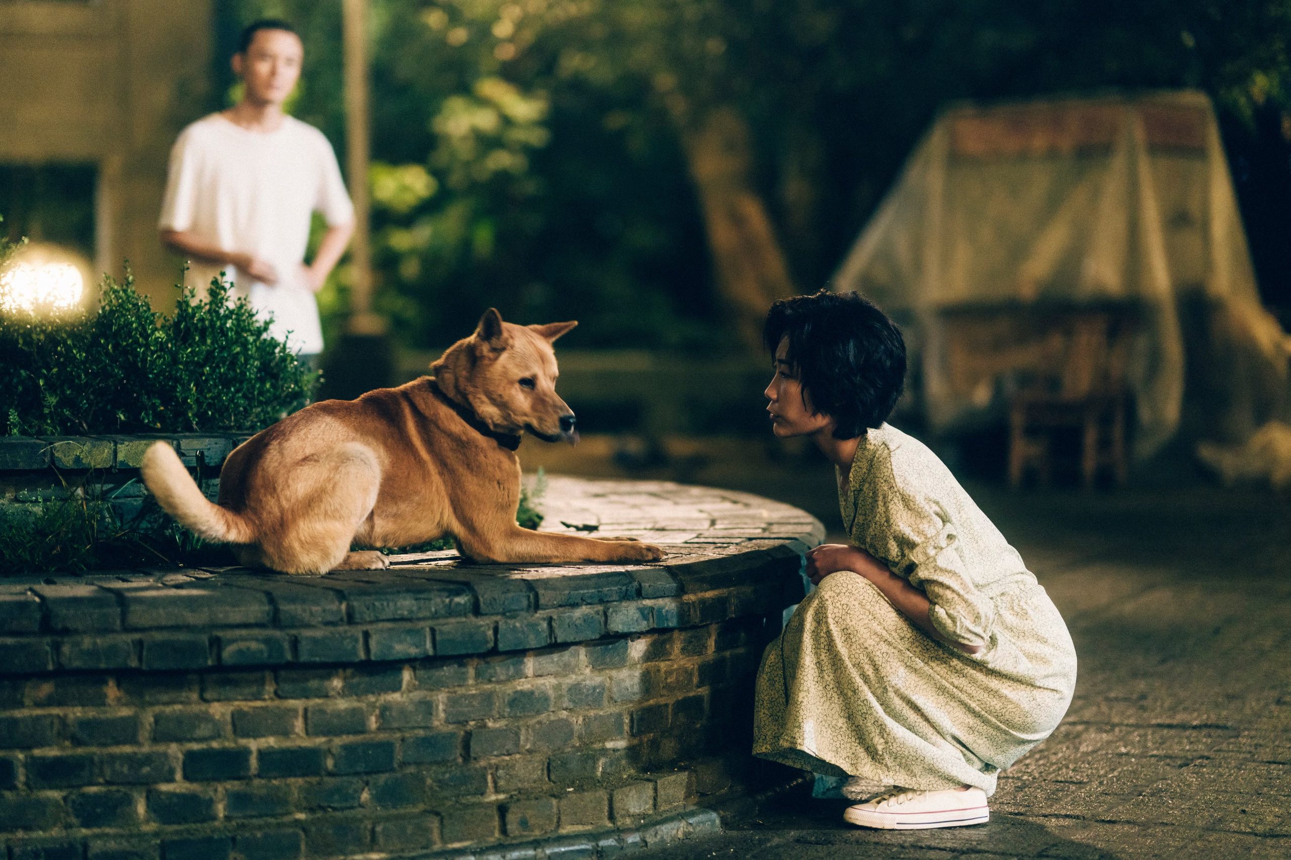 El ritual diario de espera de Hachiko en la estación de Shibuya se transformó en símbolo de fidelidad y devoción animal en la cultura japonesa