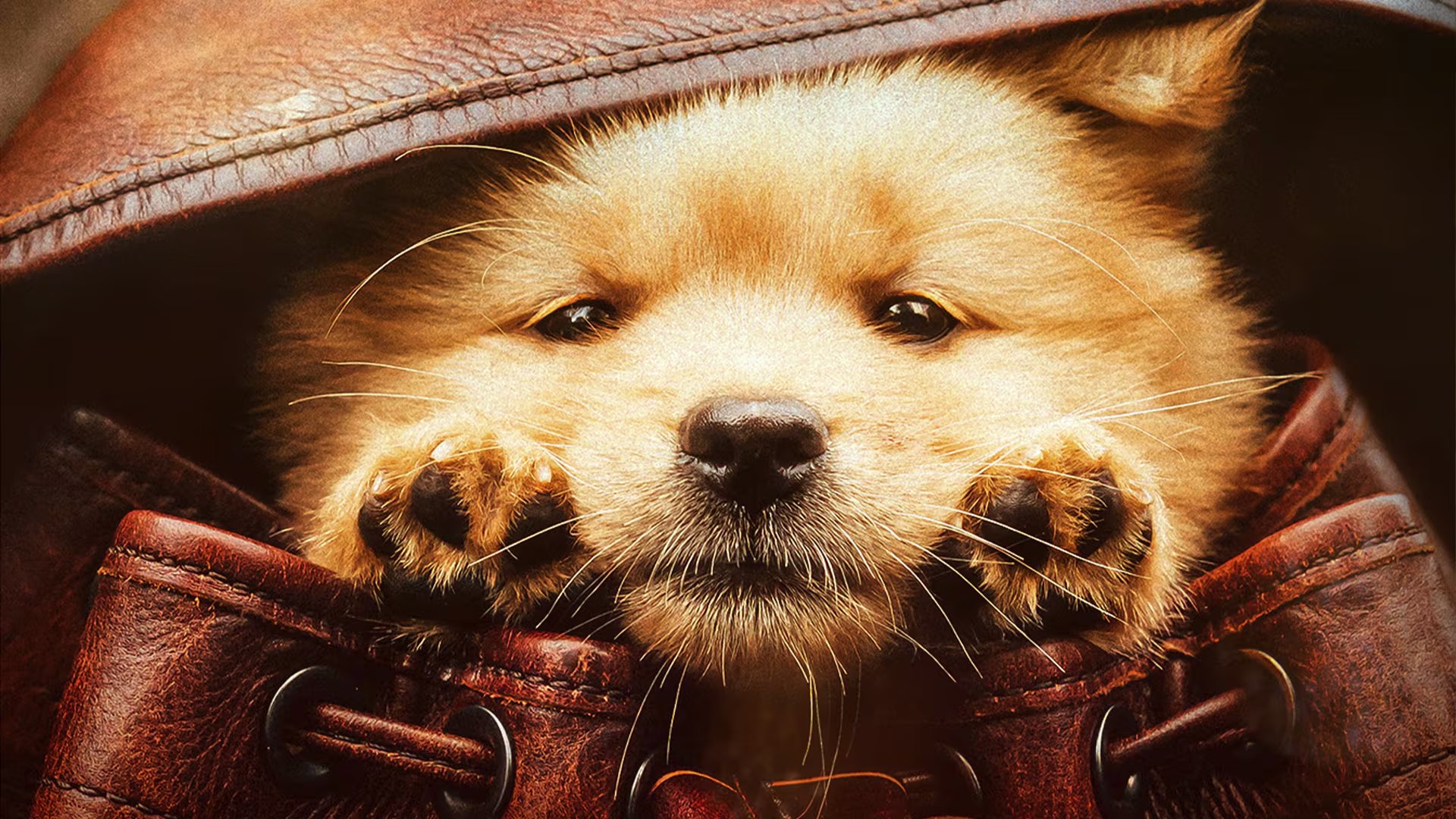 La muerte repentina del profesor Ueno en 1925 no alteró la rutina de Hachiko, quien siguió aguardando su regreso cada tarde durante nueve años