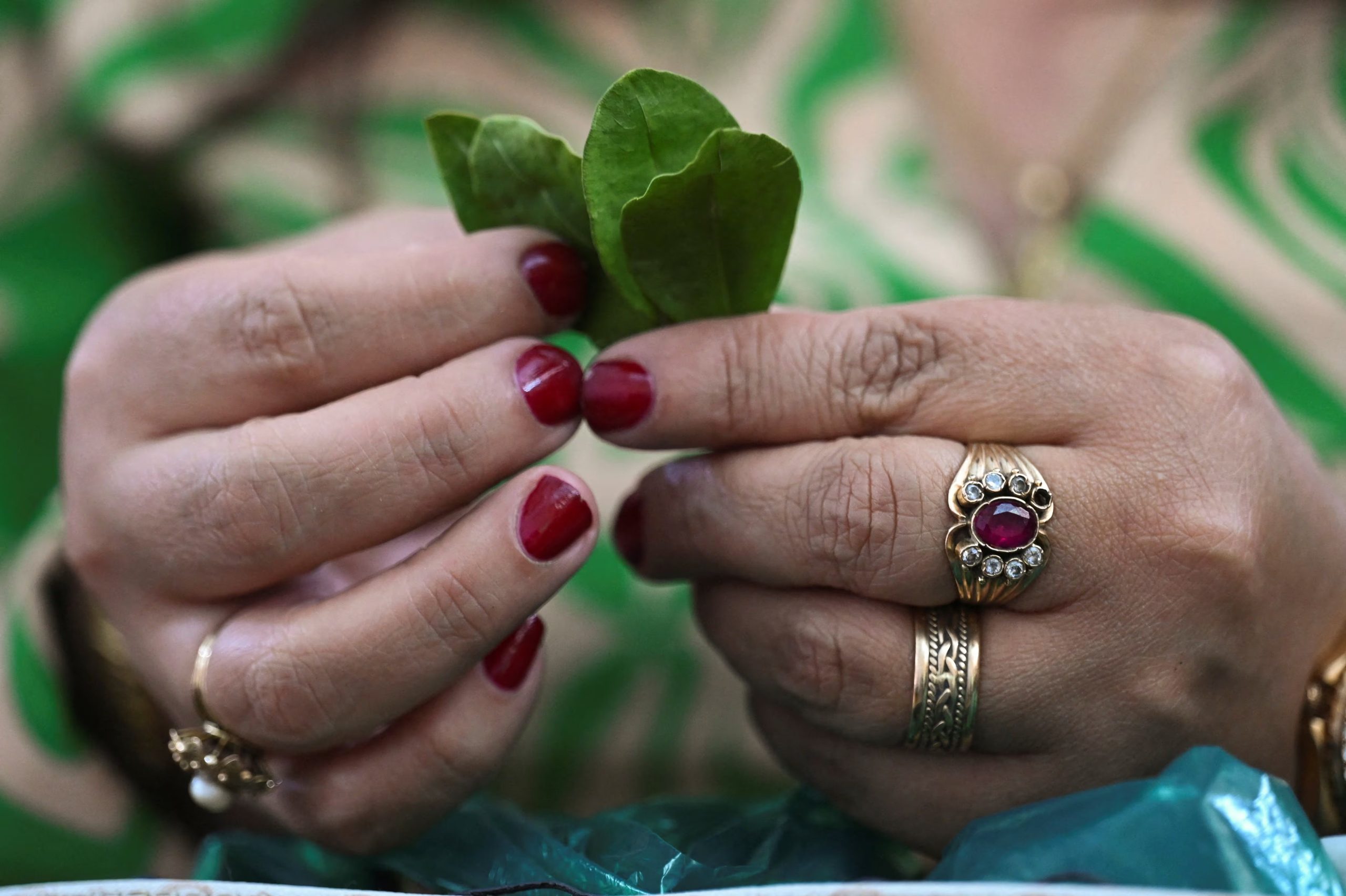 Una mujer muestra sus hojas de coca para masticar mientras participa en los eventos conmemorativos del