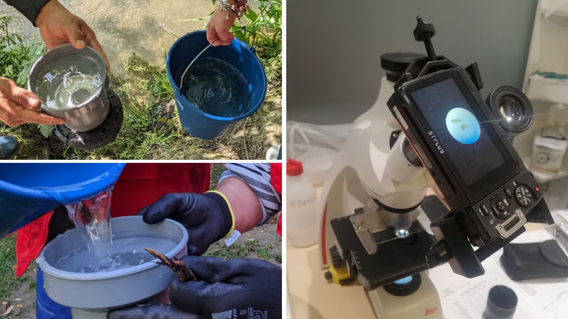 Cinco años de estudio demuestra que la mayoría de entornos acuáticos están contaminados de microplásticos en España (Montaje Infobae, Informa RED DE MONITOREO DE MICROPLASTICOS)