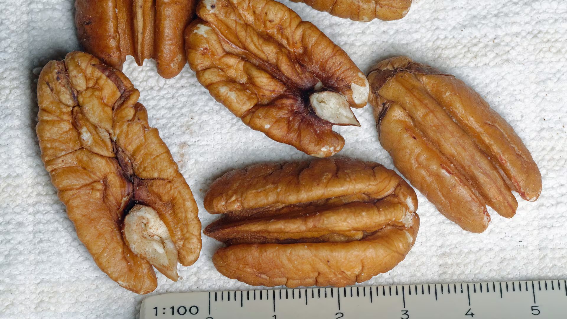 Ricas en polifenoles y antioxidantes, ayudan a mejorar los marcadores relacionados con la salud del sistema circulatorio (Credito Wikipedia)