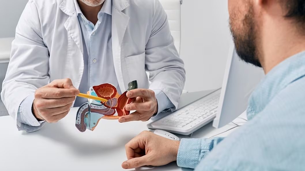 ¿Qué es la próstata y cómo afecta el cáncer?

 crédito Freepik