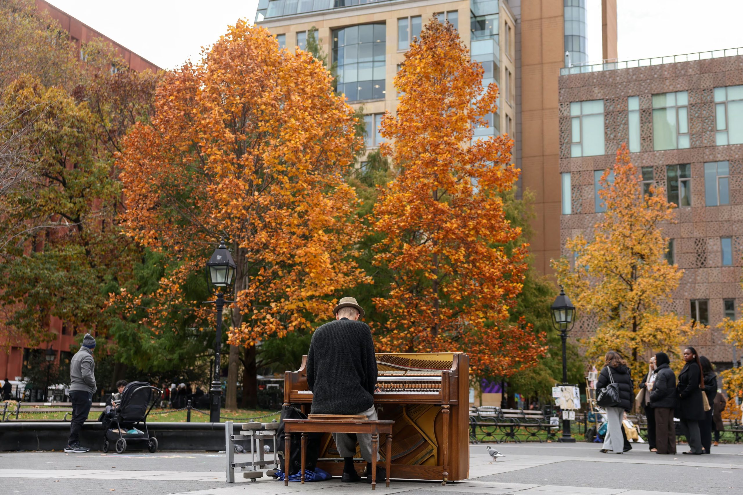 A person plays the piano, surrounded by trees with autumn leaves, in Washington Square Park in Manhattan, New York City, U.S., November 15, 2025. REUTERS/Kylie Cooper