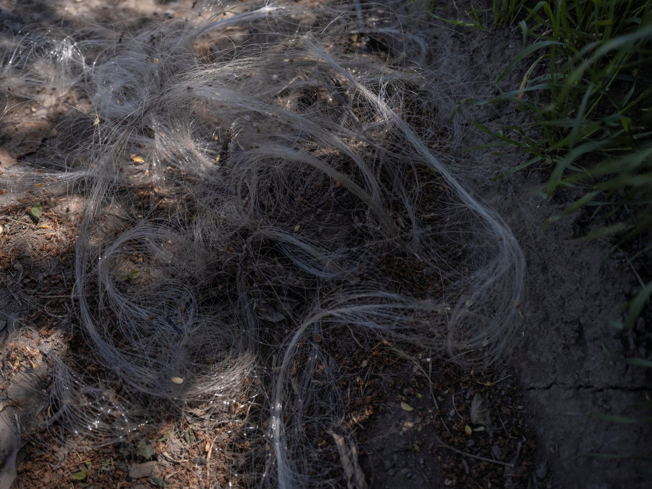 Cientos de metros de fibra óptica de drones rusos en una carretera a las afueras de la ciudad fronteriza de Kostiantynivka, en medio del ataque de Rusia a Ucrania, en la región de Donetsk, Ucrania, el 7 de mayo de 2025 (Reuters)