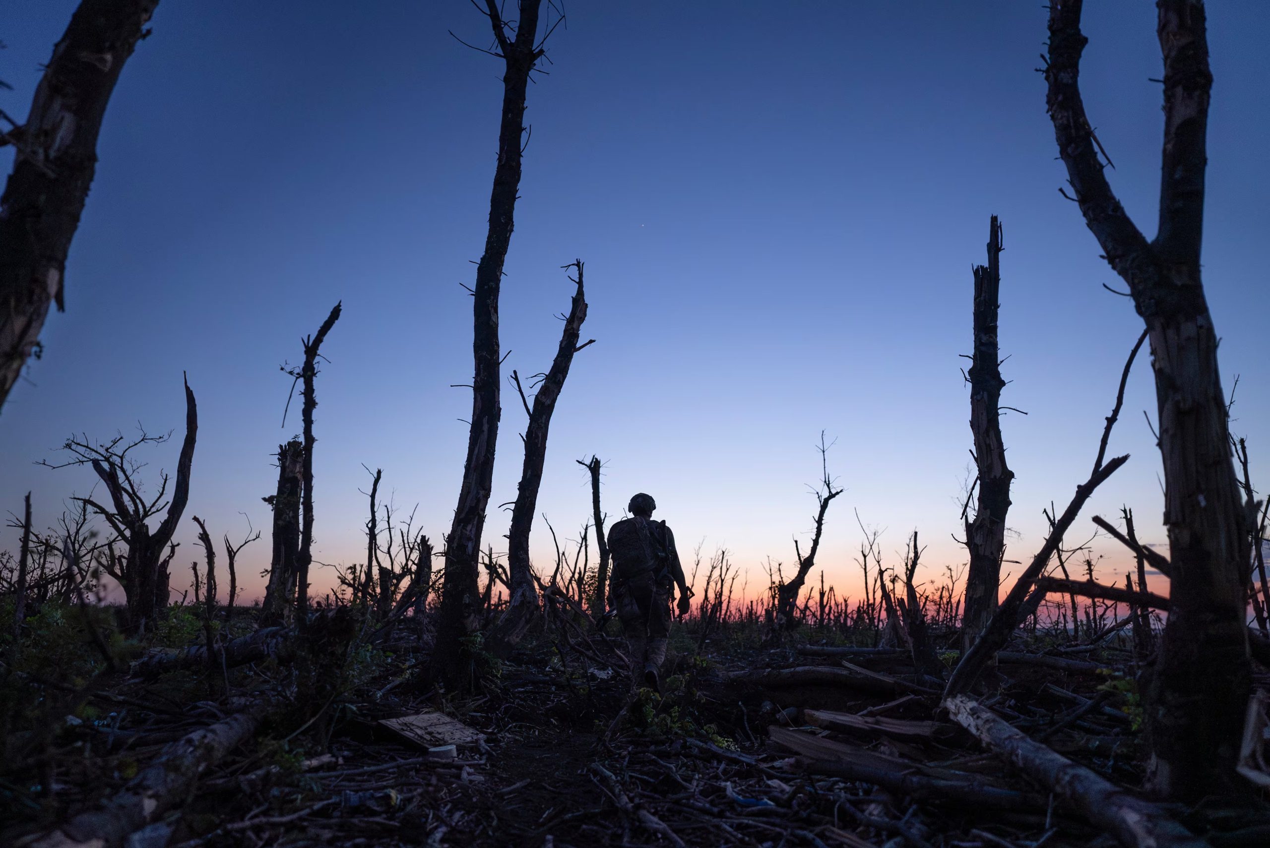 Militares ucranianos caminan por un bosque carbonizado a lo largo de la línea del frente, a pocos kilómetros de Andriivka, región de Donetsk, Ucrania, el sábado 16 de septiembre de 2023 (AP/Mstyslav Chernov, Archivo)