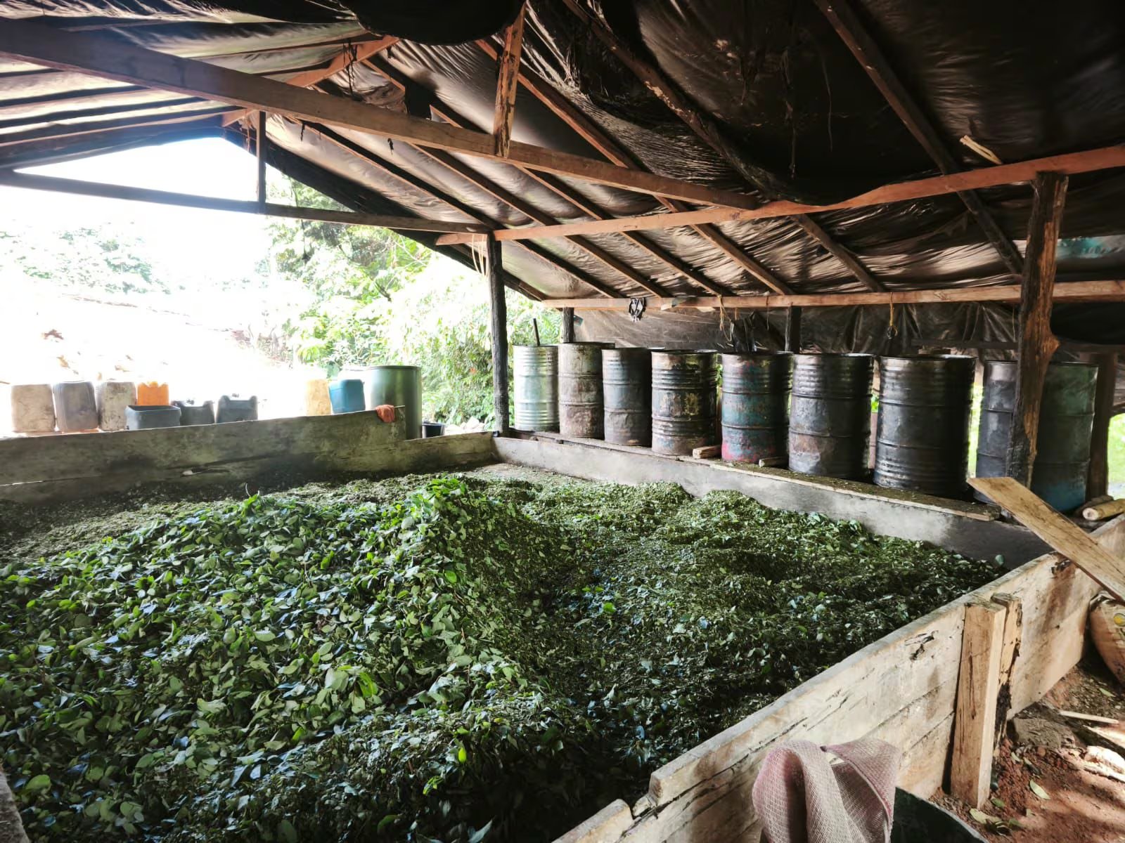 Sudamérica se ratifica como el principal motor de la producción de cocaína, mientras la droga redefine sus rutas y mercados internacionales - crédito Ejército Nacional