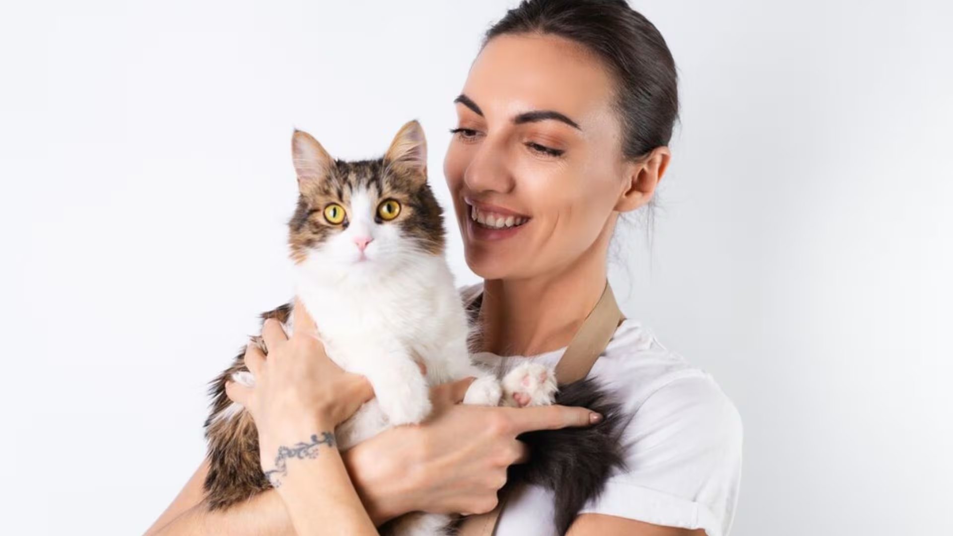 El 8 de agosto destaca la importancia de la protección animal, impulsado por el Fondo Internacional para el Bienestar Animal y otras organizaciones. (Imagen Ilustrativa Infobae)