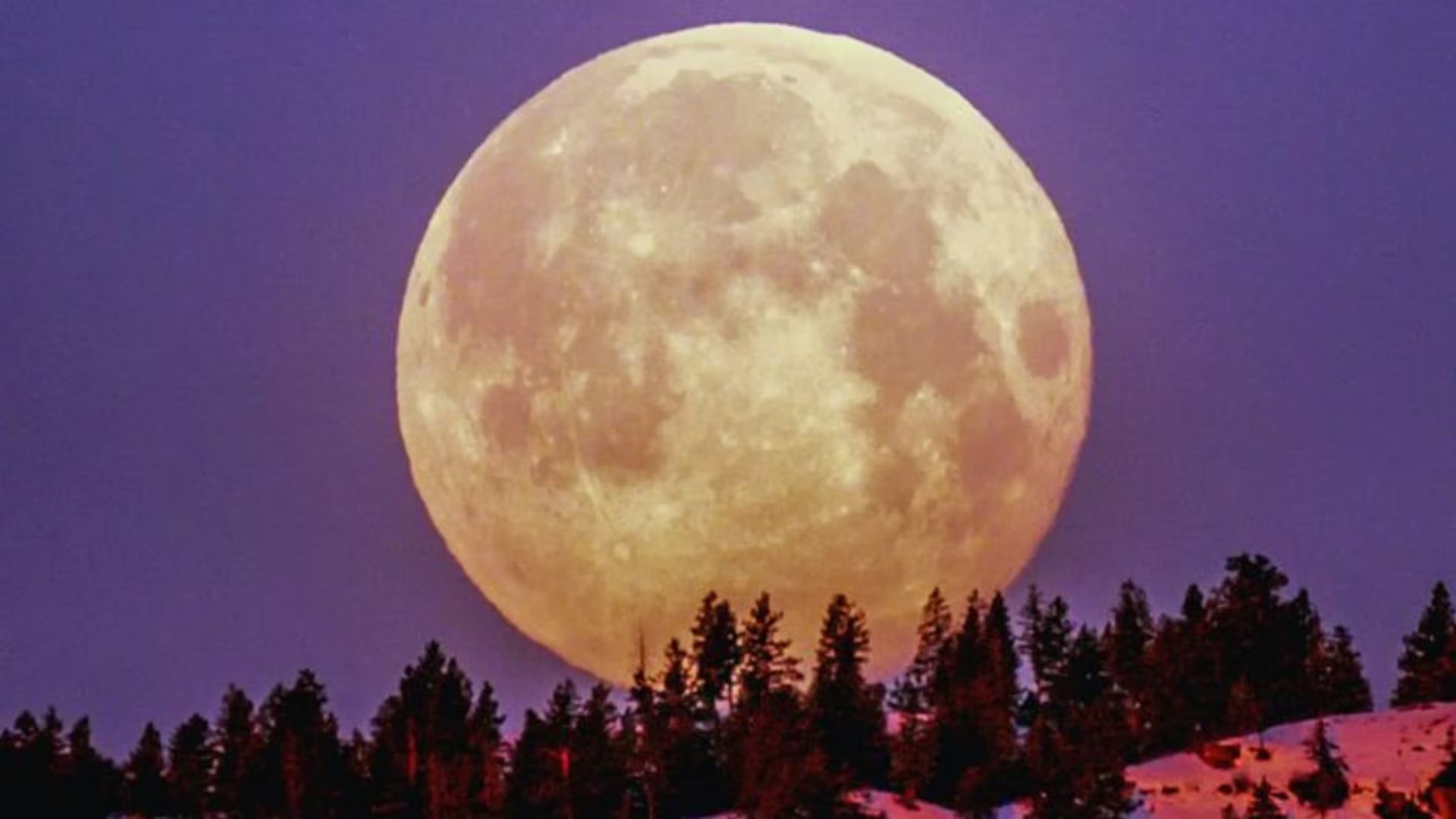 Luna de Nieve en Perú: cuándo y a qué hora será visible fenómeno astronómico que brillará en todo el cielo
(RS)