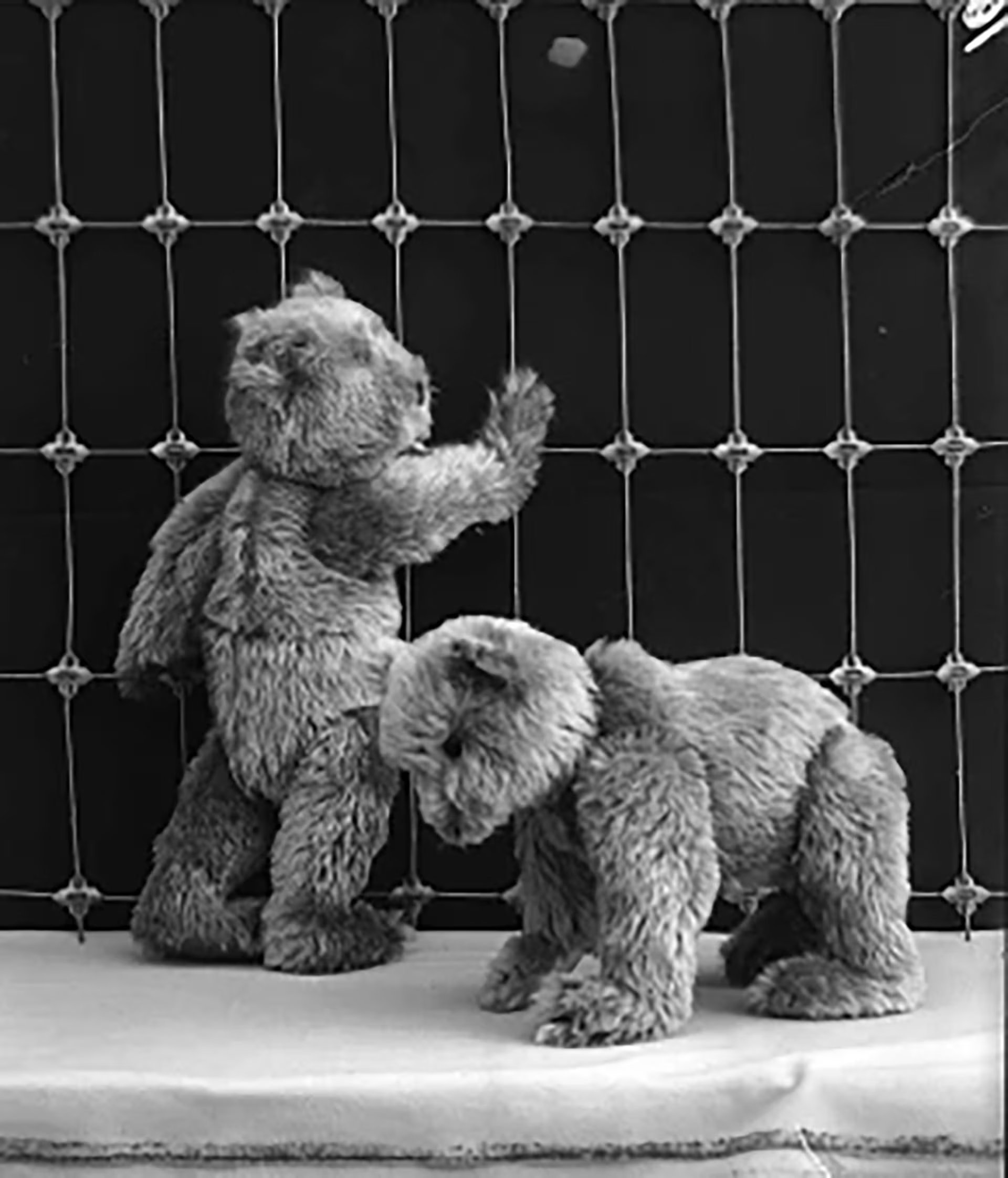 Los ositos tal y como lucían en 1904. Luego evolucionaron (corporate.steiff.com)