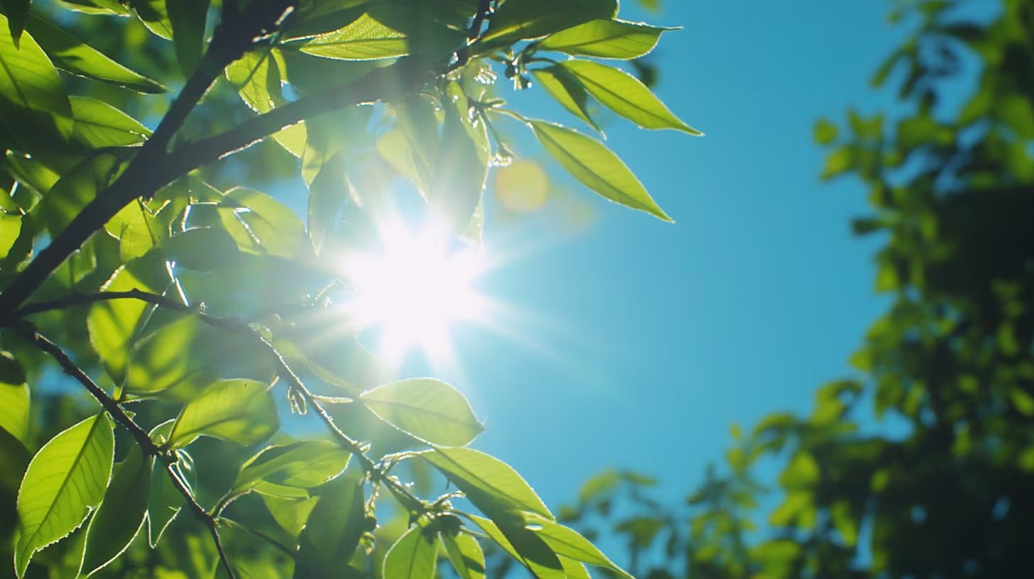 La exposición crónica a los rayos UV puede causar cánceres de piel en los párpados y secuelas estéticas o funcionales (Imagen Ilustrativa Infobae)