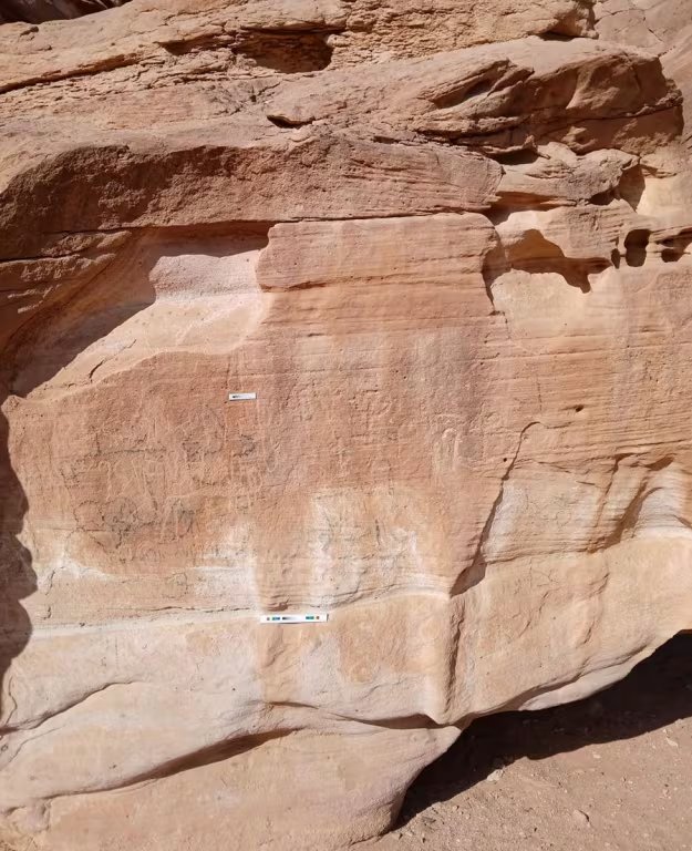 Imagen del petroglifo encontrado en Wadi Khamila. (M. Nour El-Din)