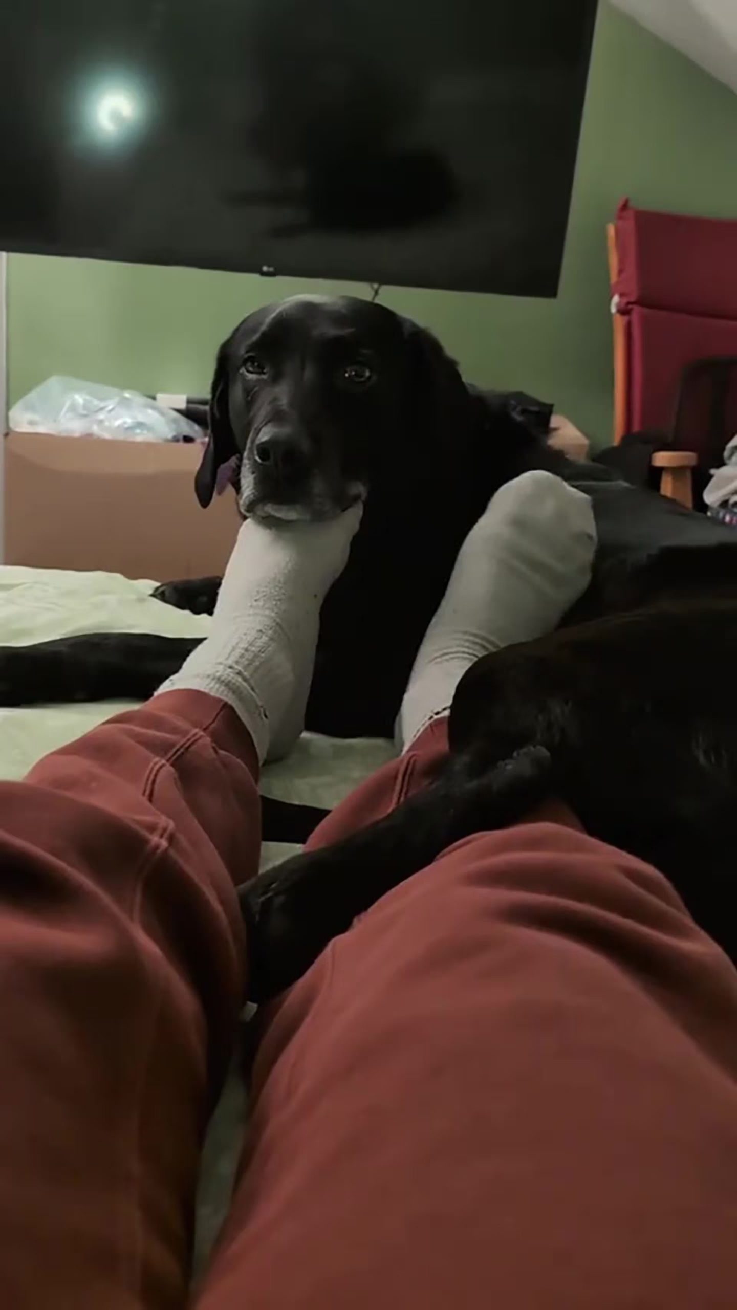 El video del entrenamiento inusual alcanzó más de 6,4 millones de visualizaciones, 826 mil “me gusta” y más de 1650 comentarios en TikTok en solo unos días (Captura de video)