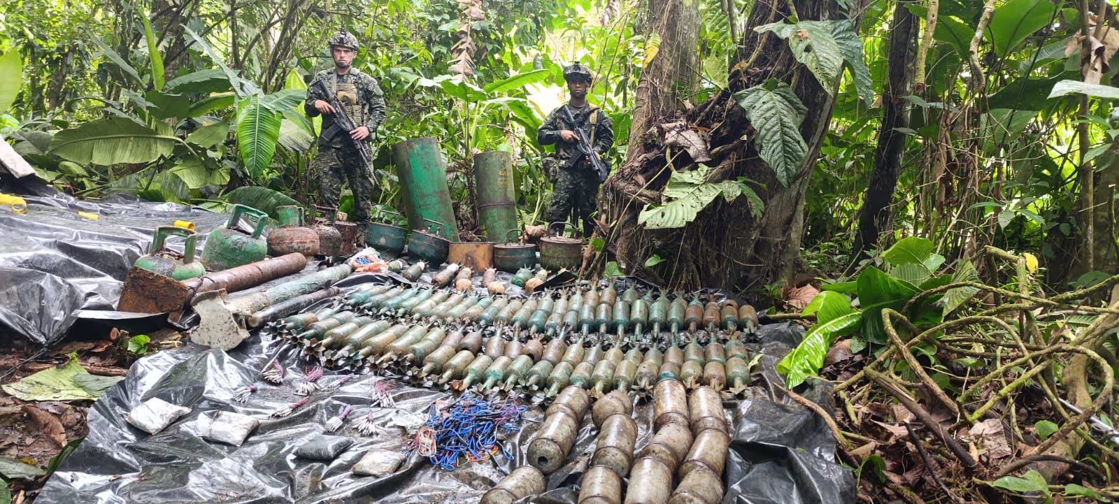 El grupo armado entregó armas al Estado - crédito Ejército Nacional