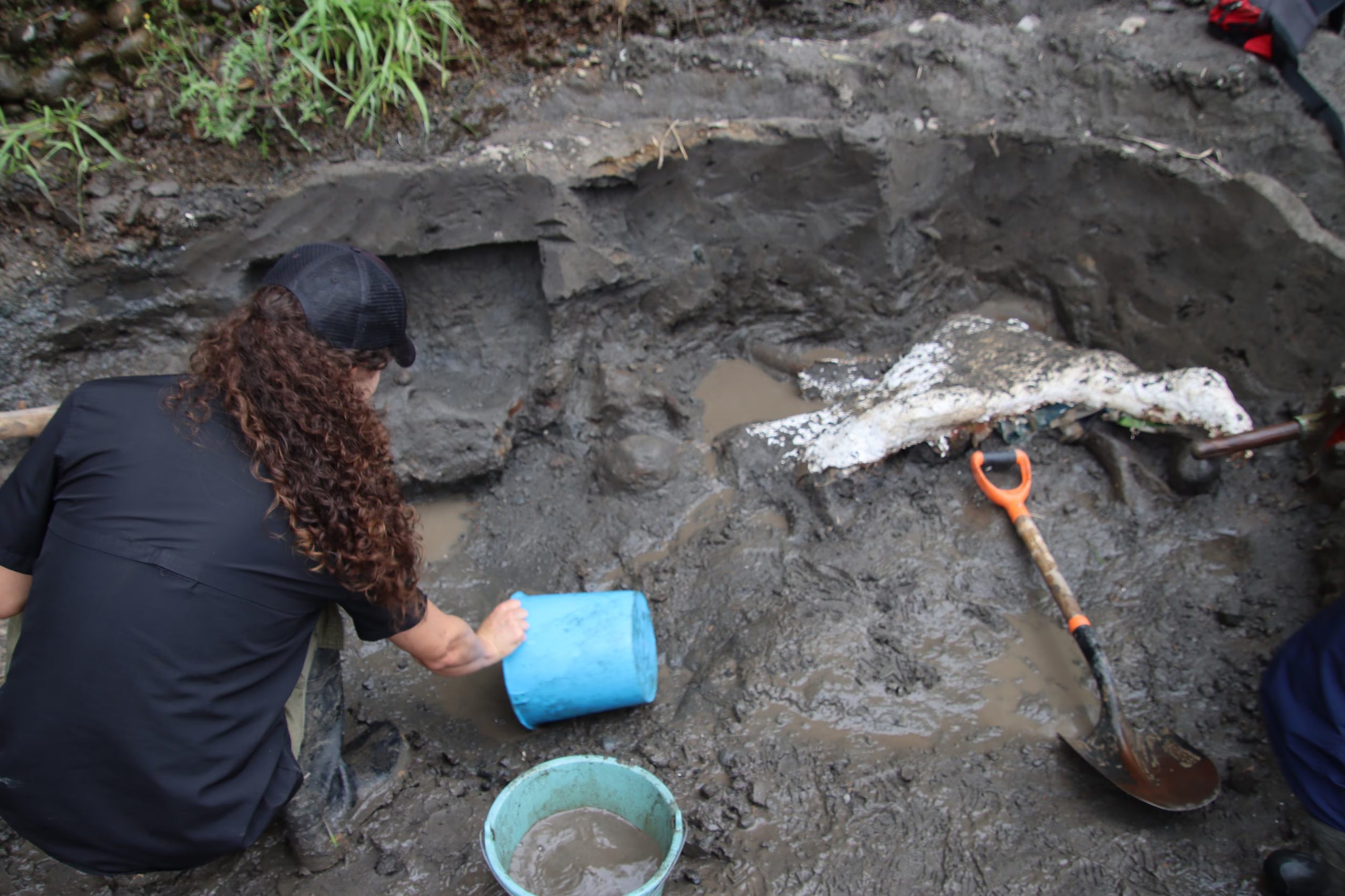 La iniciativa responde a la instrucción ministerial de resguardar y divulgar los fósiles encontrados, considerados clave para enriquecer el patrimonio natural y científico del país. Fuente: Ministerio Cultura y Juventud