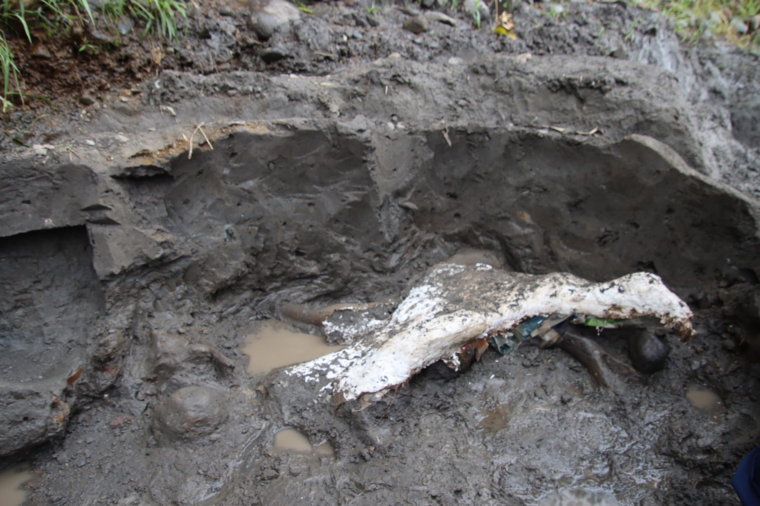 La datación de los restos entre diez mil y cuarenta mil años aporta información relevante para reconstruir la evolución de especies y el entorno natural de la región. Fuente: Ministerio Cultura y Juventud