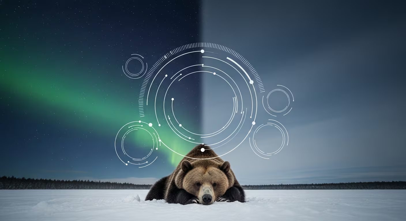 La diversidad biológica de los osos se refleja en patrones invernales: los polares pueden evitar el torpor y los pandas nunca lo experimentan debido a su dieta (Imagen Ilustrativa Infobae)