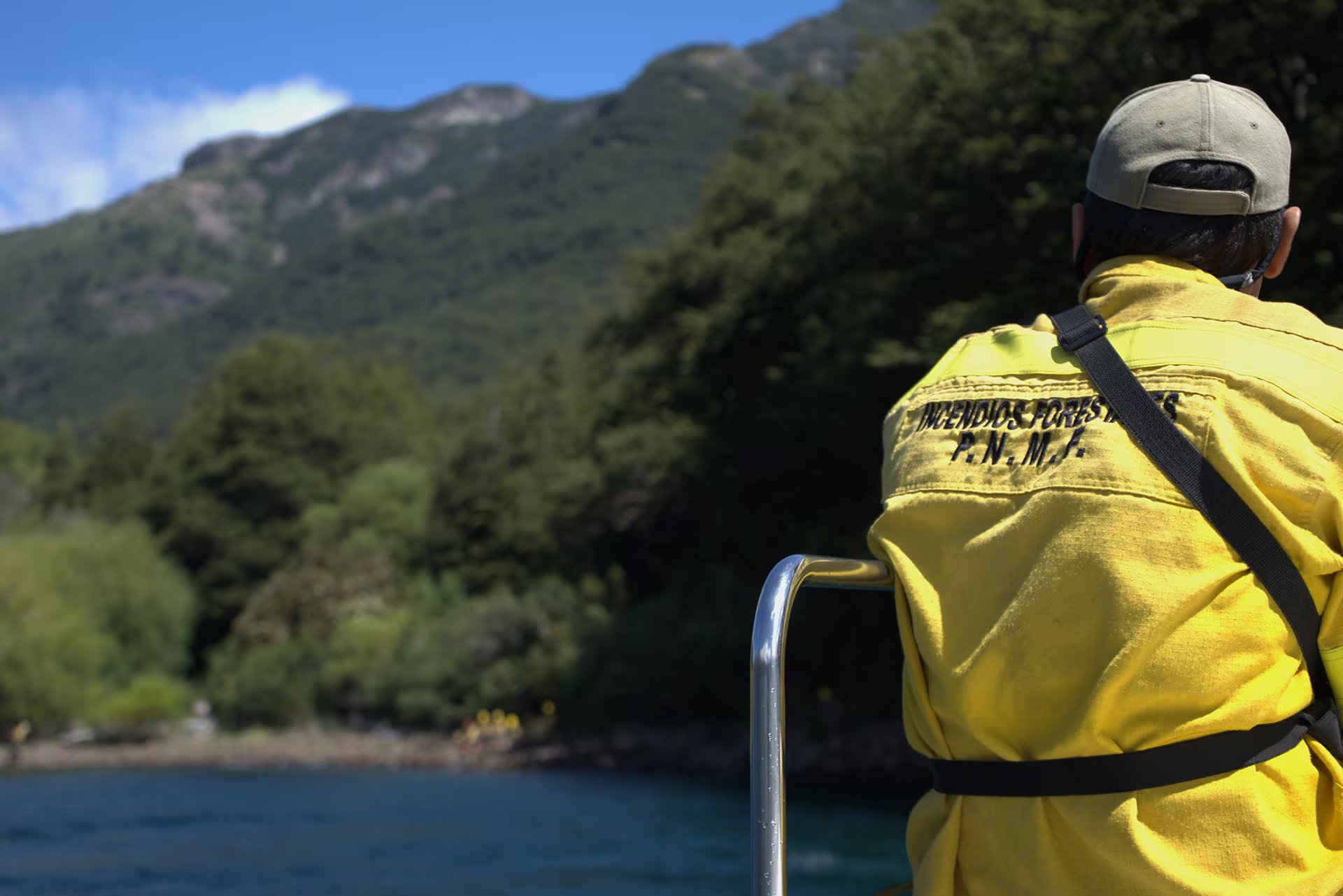 El panorama en los sitios donde cruzaron las llamas es dantesco (Parques Nacionales)