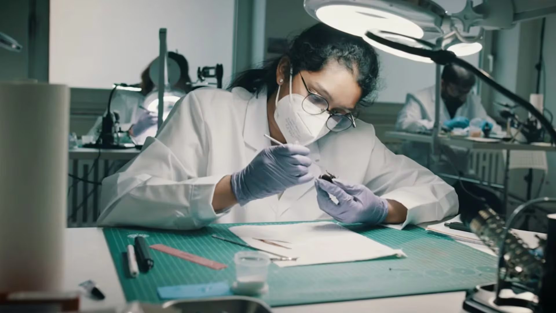 SWARM Biotactics llevó este sistema de la fase experimental a operaciones reales en Europa y Estados Unidos. (Captura/SWARM Biotactics)