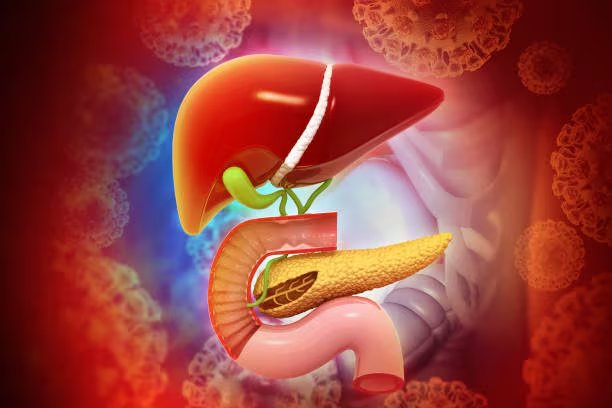 Esta bebida se se perfila como aliado natural para quienes buscan aliviar molestias en la vesícula y favorecer la eliminación de cálculos biliares. Foto: (iStock)